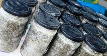 Stire din Eveniment : Percheziții la persoane bănuite de infracțiuni la regimul piscicol