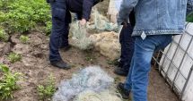 Stire din Eveniment : Percheziții în din județul Constanța! Cinci bărbați dețineau ilegal arme de vânătoare și practicau braconajul