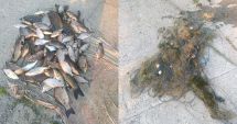 Stire din Eveniment : Zeci de kilograme de pește prins ilegal și 1.400 de metri de plasă monofilament, descoperite la Tulcea
