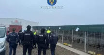 Stire din Eveniment : Primele măsuri după ancheta la adăpostul de câini unde animalele erau maltratate și eutanasiate