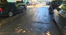 Stire din Social : Asfalt lipicios și senzație de hazna sub teii din Constanța
