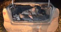 Stire din Eveniment : Zeci de kilograme de pește, confiscate de polițiștii de frontieră