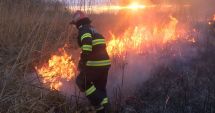 Stire din Eveniment : INCENDIU DEVASTATOR! Peste 20 de hectare de stuf, DISTRUSE DE FOC!