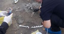 Stire din Eveniment : Cinci kilograme de mercur, găsite în gunoi