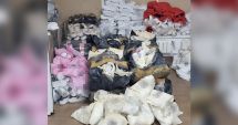 Stire din Eveniment : Garda de Coasta a intervenit în traficul de produse contrafăcute