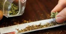 Stire din Eveniment : Românii se drogează cu marijuana și etnobotanice