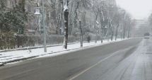 Stire din Social : AVERTISMENTUL PRIMĂRIEI CONSTANȚA: ”Evitați adăpostirea sau trecerea prin apropierea copacilor, stâlpilor, panourilor publicitare”