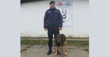 Stire din Actualitate : Câinele PAM, din cadrul Inspectoratului de Jandarmi a ieșit la pensie