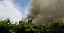 Stire din Eveniment : GALERIE FOTO / INCENDIU PUTERNIC LA CONSTANȚA, ÎN PALAZU MARE. Focul se extinde!