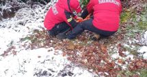 Stire din Eveniment : Misiune dificilă pentru jandarmii montani: turiști străini blocați într-o zonă greu accesibilă