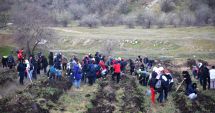 Stire din Social : Peste 5.000 de puieți plantați astăzi în comuna Cumpăna, ca parte a proiectului „Plantează în România”