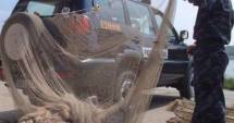 Stire din Eveniment : Zeci de kilograme de pește, confiscate de Garda de Coastă