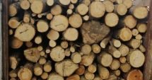 Stire din Eveniment : Transport de lemne confiscat de jandarmii din Cernavodă