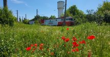 Stire din Economie : Bălării, ruginituri, clădiri abandonate. Remiza CFR Palas Constanţa, pe "valea plângerii"