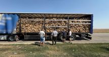 Stire din Eveniment : Transport ilegal de material lemnos, interceptat de polițiștii constănțeni