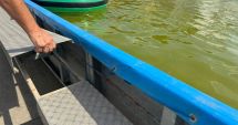 Stire din Social : Amenzi de 620.000 lei pe litoral: piscine murdare, camere insalubre şi produse expirate, descoperite de ANPC