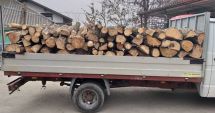 Stire din Social : Depistat de jandarmi transportând lemne fără documente legale