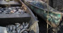 Stire din Eveniment : Peste 100 kg pește fără documente legale și plase de pescuit, confiscate de polițiștii de frontieră