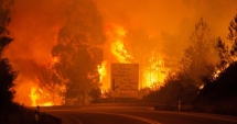Stire din Actualitate : Tragedie în Portugalia / 57 de persoane au murit într-un incendiu de pădure din centrul țării. Numărul victimelor este în creștere