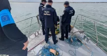 Stire din Eveniment : Sturioni prinși în plase ilegale, salvați de Poliția de Frontieră. Intervenție în Marea Neagră
