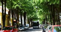 Stire din Social : Constănțeni, se taie arborii! Atenție unde parcați