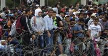 Stire din Actualitate : Criza imigranților. Decizie importantă a Germaniei, începând de azi