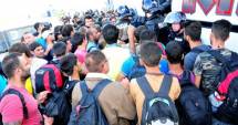 Stire din Actualitate : Mii de refugiați pleacă din Finlanda și se întorc acasă voluntar. Care e motivul