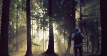 Stire din Eveniment : ALERTĂ! O femeie și copilul ei de 3 ani, dispăruți după o plimbare în pădure