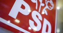 Stire din Politică-Administrație : PSD: Președintele Iohannis să spună Parlamentului pe ce întrebare vrea să îl consulte
