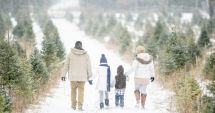 Stire din Social : ANM. Cum va fi vremea, în România, în luna februarie