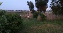 Stire din Social : Primăria Constanța continuă acțiunile de dezinsecție