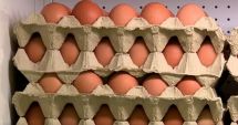 Stire din Actualitate : Ce spune ministrul Agriculturii, despre criza ouălor. "Probabil nu s-au înţeles cu producătorii"