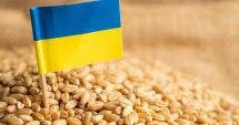 Stire din Economie : Comisia Europeană a decis: Liberă trecere pentru cerealele ucrainene