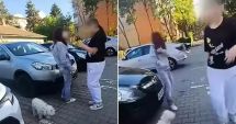 Stire din Eveniment : O adolescentă care îşi plimba câinele a fost bătută cu sălbăticie de o fată de 12 ani