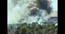 Stire din Eveniment : Un bărbat disperat la alergia la ambrozie a vrut să scape de tufa din fața blocului. În scurt timp s-a declanșat iadul