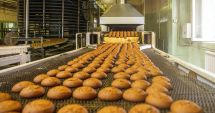 Stire din Economie : România ar putea deveni cel mai puternic stat pe procesare din sud-estul Europei