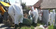 Stire din Social : Două persoane care transportau carne de porc în zona localităților cu focare de pestă porcină au fost prinse de autorități