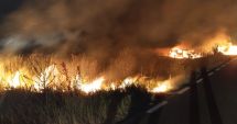 Stire din Eveniment : Două autovehicule au loc foc, la Constanța, în urma unui accident rutier