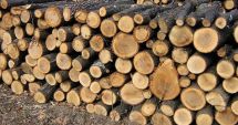 Stire din Eveniment : Zi cu ghinion pentru un bărbat prins cu lemne transportate ilegal