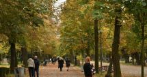 Stire din Social : Luna noiembrie debutează cu temperaturi în scădere în toată ţara. Cum va fi vremea în Dobrogea