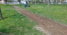 Stire din Social : Curățenie de primăvară în cartierele din Constanţa