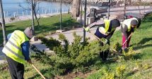 Stire din Social : Constanţa se schimbă la faţă! Va deveni un "oraș curat, verde și îngrijit"