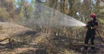 Stire din Actualitate : România trimite din nou pompieri în Franța. 40 de salvatori pleacă în lupta cu incendiile devastatoare
