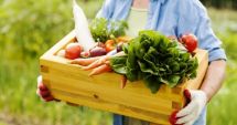 Stire din Eveniment : Viorica Dăncilă anunță reducerea TVA de la 9% la 5%. Iată categoria de alimente
