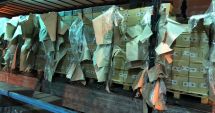 Stire din Economie : 800 de baxuri de țigări de contrabandă, confiscate de vameși