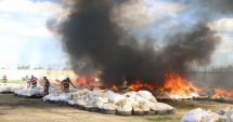 Stire din Actualitate : 20 de tone confiscate de canabis au fost arse pe câmp. Locuitorii au suferit de halucinaţii mai multe zile