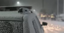 Stire din Eveniment : La un pas de tragedie. O femeie însărcinată a pierdut controlul mașinii pe DN22
