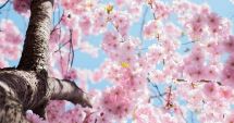 Stire din Social : Prognoza meteo de Mărţişor. Cum va fi vremea în următoarele patru săptămâni