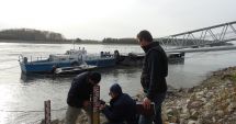 Stire din Social : ABADL: „Monitorizăm parametrii pe sectorul Dunării din bazinul hidrografic Dobrogea”