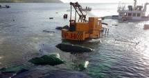 Stire din Economie : Accidente pe mări și oceane